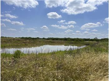 This is the small tank