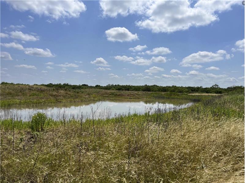 This is the small tank