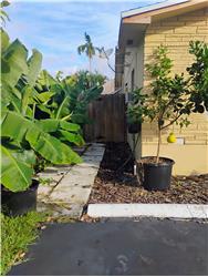 Thomas St, Hollywood, FL