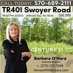 TR401 Swoyer Road, Jeffersont Township, PA